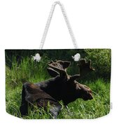 Moose Resting In Sunlit Meadow In Grand Teton National Park Weekender Tote Bag