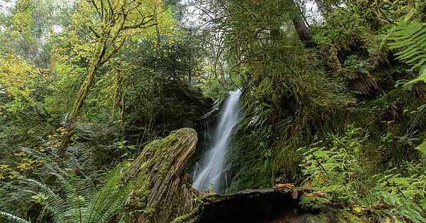 Olympic National Park Photographs