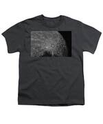 Lunar Surface Craters In Detail Youth T-Shirt