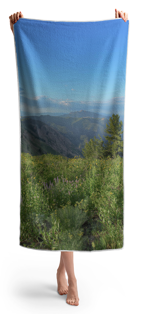 Mountain View with Wildflowers Beach Towel