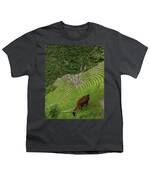 Winay Wayna With Grazing Llama Youth T-Shirt