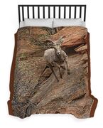 Big Horn Sheep Agile Descent In Zion National Park Duvet Cover