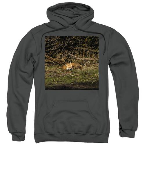 Peaceful Fox in Sunlit Meadow Sweatshirt by Brandon Wichmann