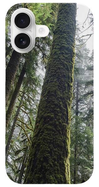 Shop for Tree Phone Cases