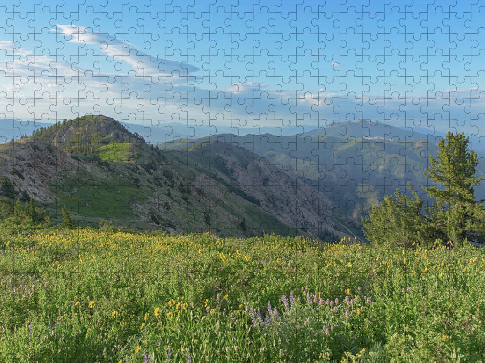 Mountain View with Wildflowers Jigsaw Puzzle