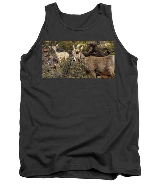 Mountain Goats in Natural Habitat Tank Top