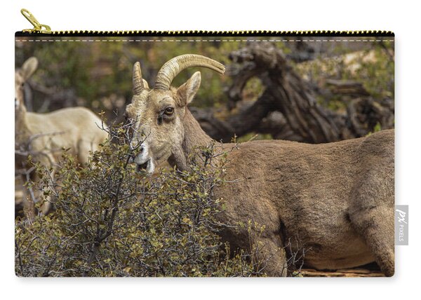 Mountain Goats in Natural Habitat Zip Pouch