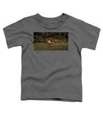 Fox Resting In Sunlit Clearing Toddler T-Shirt