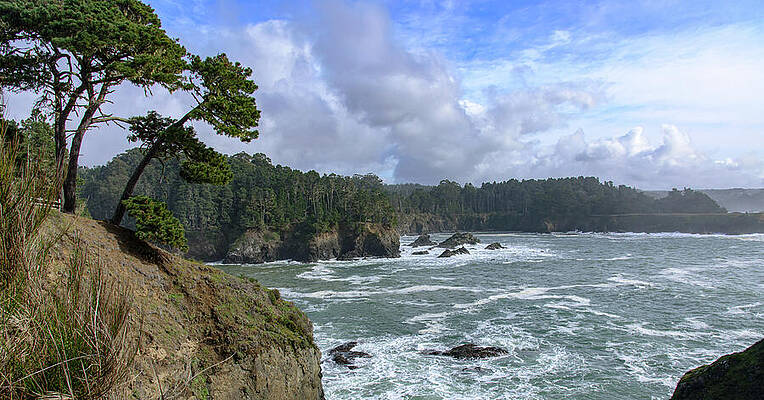 Tree Wall Art featuring the photograph Coastal Serenity With Rugged Cliffs by Brandon Wichmann