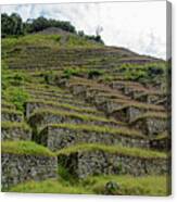 Ancient Terraces Amidst Greenery Canvas Print