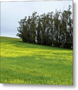 Rolling Hills With Blooming Wildflowers Metal Print