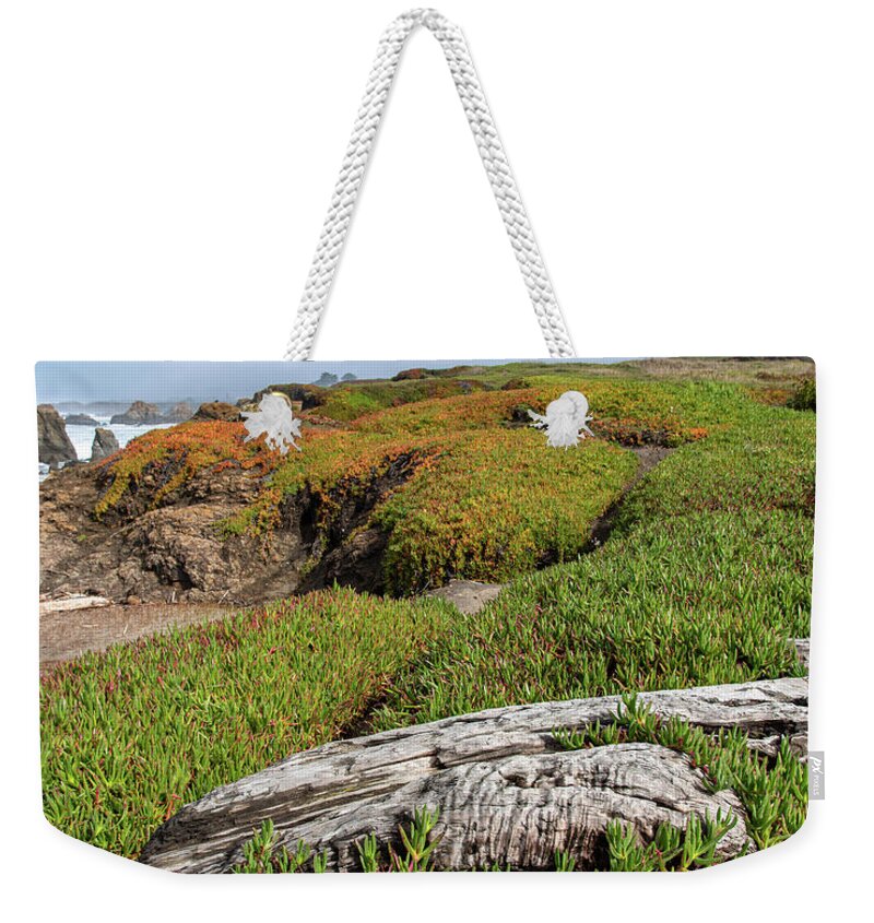 Coastal Landscape with Driftwood Weekender Tote Bag